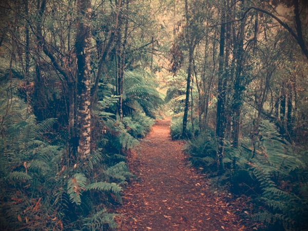 path2.jpg